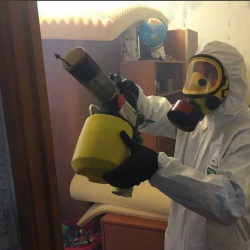 Уничтожение клопов в квартире. Джанкой